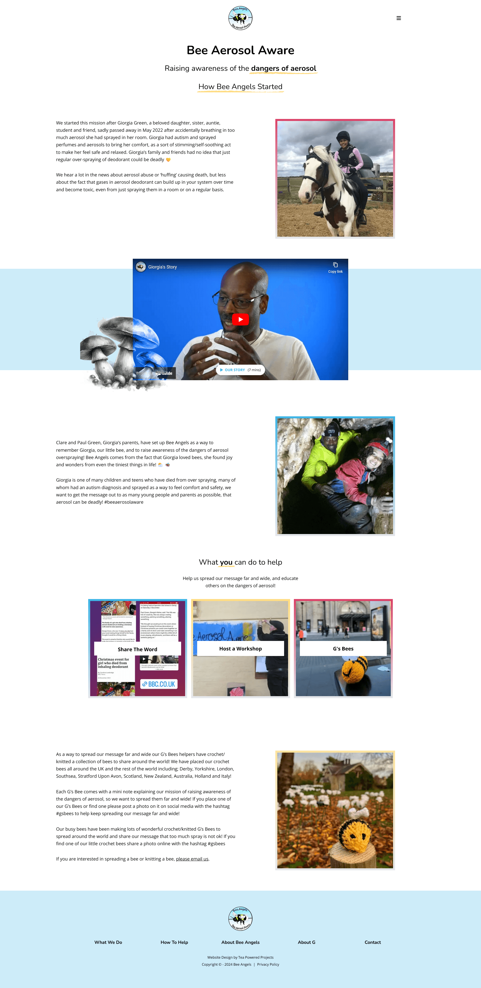 Bee Angels Site